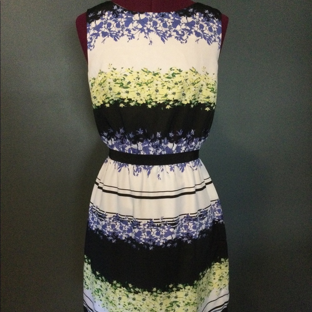 Ann Taylor Loft dress, size small petite